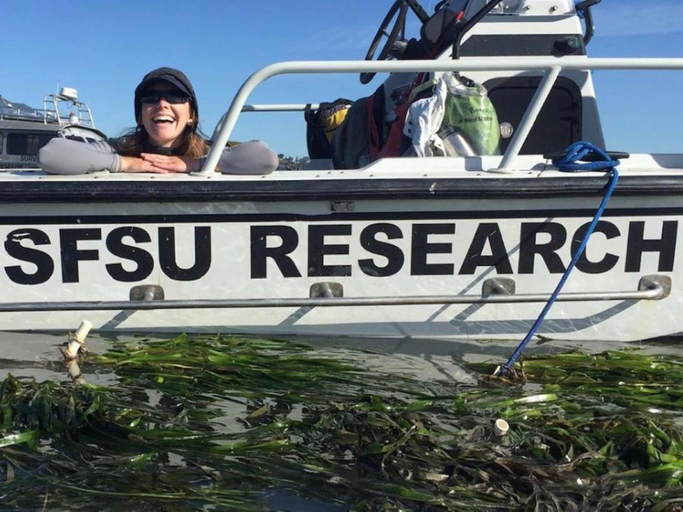 boat and eelgrass