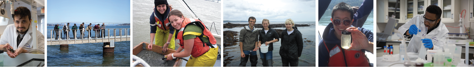 collage of students in the lab, students on the pier, students in the field